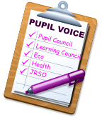 PUPIL VOICE Pupil Council Learning Council Eco Health JRSO